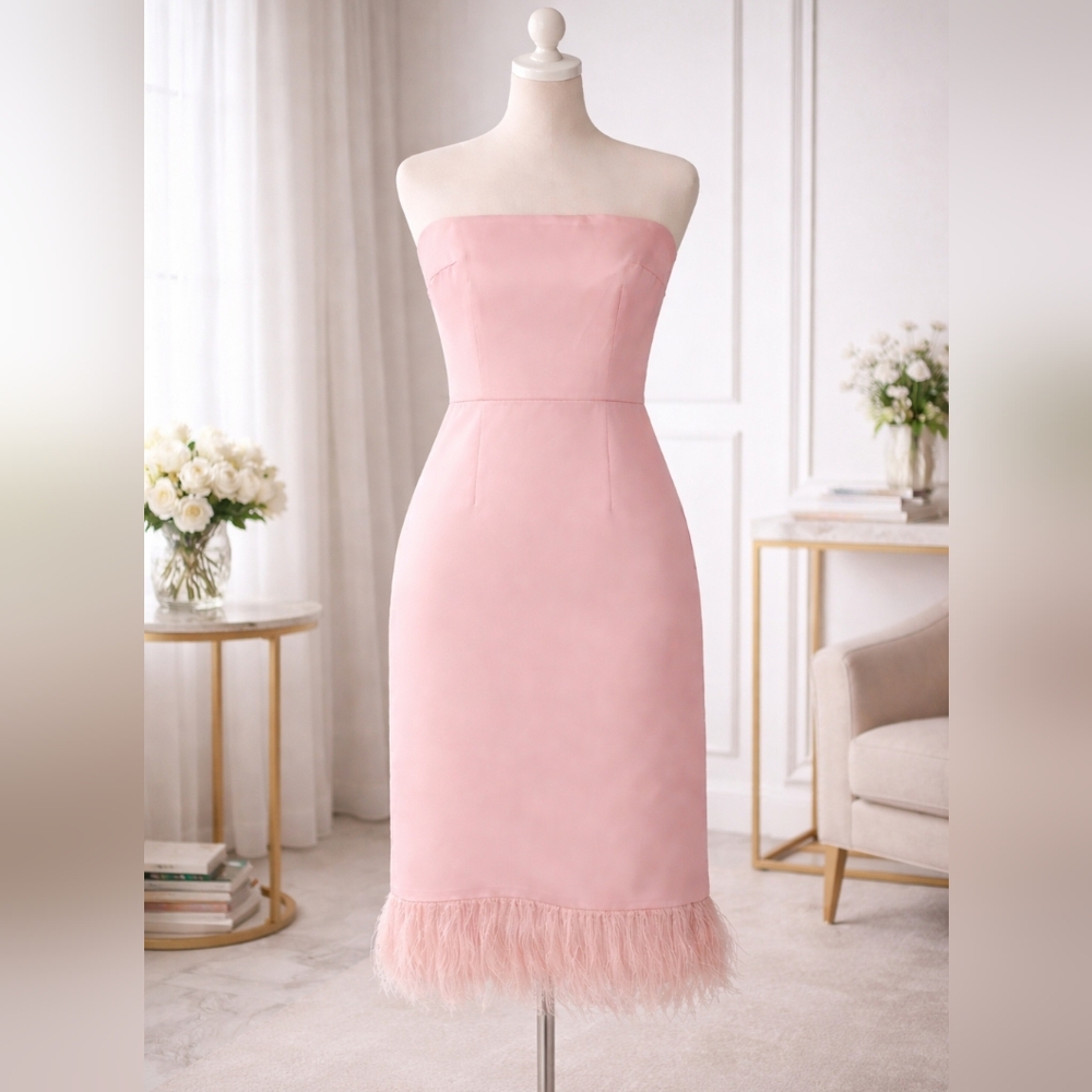 NWT Luxury Blush Pink Strapless Feather Hem Midi Dress – Camilyn Beth Size 6